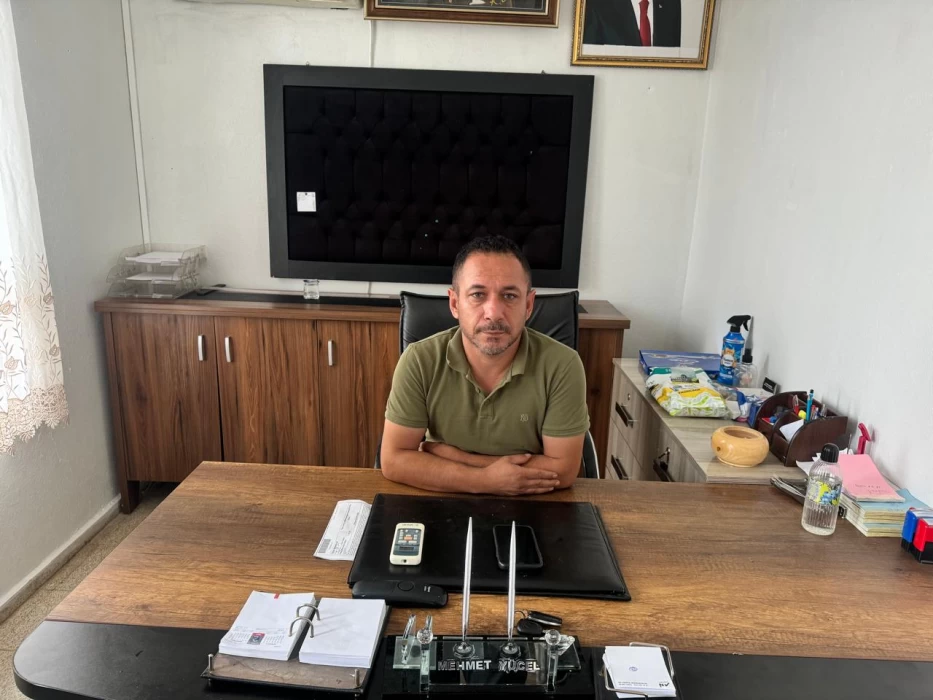 Satın Alma